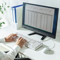 サンワサプライ 日本語109キーボード メンブレン式 ホワイト 有線 PS/2接続 SKB-109LN2（直送品）