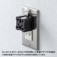 サンワサプライ TR-AD6シリーズ用盗難防止ケーブル、クリップ、ネジセット TR-AD6SET（直送品）