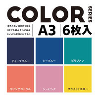 エレコム 撮影用背景シート/COLOR/A3/6枚入 DGA-BPA303 1セット(6枚入)