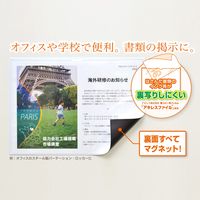 マグエックス マグネットカードケース ツヤ有り A5 MCARD-A5G 1セット(2枚)