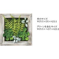 東谷 フェイクグリーン 幅255×奥行50×高さ255mm グリーン LFS-906 1個（直送品）