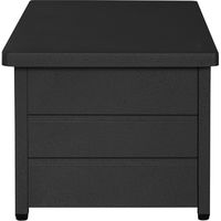 東谷 ラルド ストレージセンターテーブル 幅900×奥行490×高さ400mm ブラック TPN-35BK 1台（直送品）