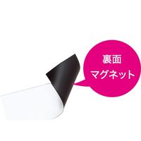 マグエックス マグネットカラーシート(大) 白 MSCW-08W 1セット(2枚)