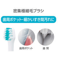 パナソニック ドルツ替えブラシ スリム用密集極細毛ブラシ 2本入 EW0971-W