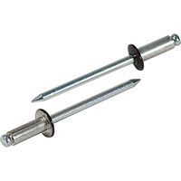 エビ カラーリベット ブロンズ（エコパック） CNSA42BRMP 1箱（65本入） ロブテックス（直送品）