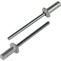 エビ リベット（クローズ）（エコパック） NSA66CMP 1箱（25本入） ロブテックス（直送品）