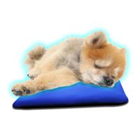 ヘルメット潜水 クロッツ わんちゃんパワークール ブルー M H-015 1枚 61-9952-77（直送品）