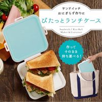 マーナ ぴたっとランチケース・LB K689LB 3個（直送品）