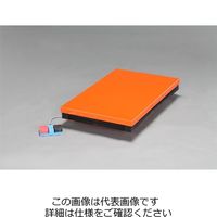 エスコ 520x 850mm/100kg テーブルリフト(電動式) EA520XN-1A 1台（直送品）