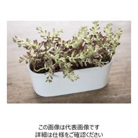 D&M DEPOT オーバルポット L26.5 クリーム 955250 1セット(2個)（直送品）