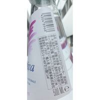 日欧商事 スルジーヴァ スルジーヴァ・ミネラルウォーター(スパークリング) 500ml 125906 1セット(500ml×20本)