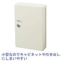カール事務器 キーボックス（コンパクトタイプ） 壁掛け用 10個吊 CKB-C10-I 1セット（わけあり品）