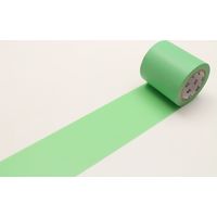 カモ井加工紙 mt CASA 50mm 若緑 MTCA5050 1個