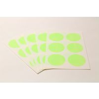 カモ井加工紙 mt CASA seal S ショッキンググリーン MTCDSS04 1個