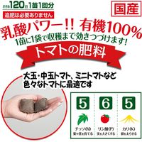 渡辺泰 乳酸発酵 トマトの肥料 2個入り（50g） WTLP-200282 1セット（12袋入）（直送品）