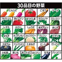 【ギフト包装】 カゴメ 野菜一日これ一本長期保存用（30缶） カゴメ（直送品）
