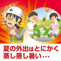 熱中対策 服の上から極寒スプレー 無香料 小林製薬 1本 330mL 冷却スプレー ひんやりグッズ 冷却用品  衣類冷却スプレー