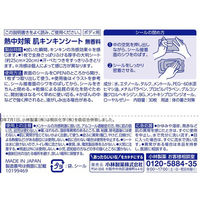 小林製薬 熱中対策 肌キンキンシート 冷感ボディシート 30枚入 1個