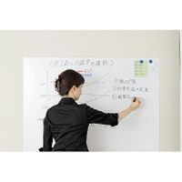 サニー ラクスルー 900×1200 SNRS-FG100（直送品）