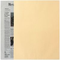 高春堂 ビッグ1封筒 クラフト 100枚入 741（直送品）