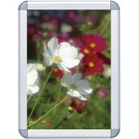 シンエイ ポスターグリップ B1 銀 PG-32R AG/C B1（直送品）