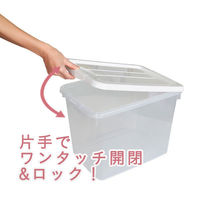 収納ボックス プロフィックス フリーボックス 50深型 天馬（わけあり品）