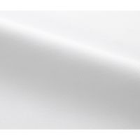 カーシーカシマ ナガソデブラウス ホワイト 9号 EWB595-11_9 1着