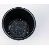 グリーンパル 菊鉢 10号 1セット(5個入)