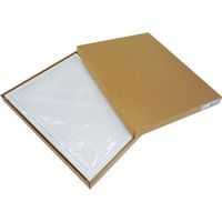 大仙 デッサン縁 MMー02 八つ切 白 D972A2332 1枚