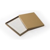 大仙 水彩額 3669 F4 グレー H366D0401 1枚