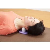 セーブ・インダストリー どこでもおし玉んま SV-4540（直送品）