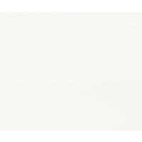 東洋事務器工業 衝立 1810×380×1548mm ホワイト CW-56 1個 0-2113-14（直送品）