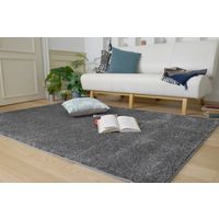 スミノエ BIG SIZE RUG イルミエ ラグ 防炎 アレルブロック 2610×3520mm チャコール 4549781206622 1枚（直送品）