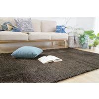 スミノエ 防炎 アレルブロックラグ ネオグラス 100cm円形 ブラウン 4955141237661 1枚