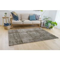 スミノエ BIG SIZE RUG ネオグラス ラグ 防炎 アレルブロック 2000×2000mm ベージュ 4955141237500 1枚（直送品）