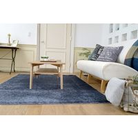 スミノエ BIG SIZE RUG ネオグラス ラグ 防炎 アレルブロック 1000×1000mm ネイビー 4549781206929 1枚（直送品）