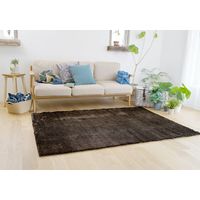 スミノエ BIG SIZE RUG ネオグラス ラグ 防炎 アレルブロック 2610×2610mm ブラウン 4955141247691 1枚（直送品）