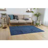 スミノエ FIT SIZE RUG ミランジュ ラグ 防ダニ 900×1300mm ブルー 4549781207230 1枚（直送品）