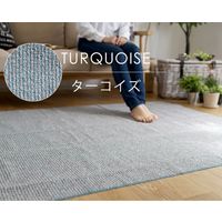 スミノエ カルル PPL-1 ラグ 超軽量 2500×3500mm ターコイズ 4549781208237 1枚（直送品）