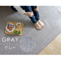 スミノエ カルル PPL-1 ラグ 超軽量 2500×3500mm グレー 4549781208091 1枚（直送品）