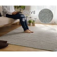 スミノエ カルル PPL-1 ラグ 超軽量 2500×3500mm オリーブ 4549781208374 1枚（直送品）