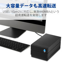 HDD 外付け 8TB 据え置き 5年保証 2big RAID USB-C STHJ8000800 LaCie 1個（直送品）