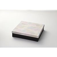 瑞光明 料理・弁当箱 雅シリーズ 足付式 大 S-7568 T-80-E黒 v1328mybads7568t80eku 1包（100セット）（直送品）