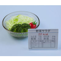 いわさき 目指そう!350g!一皿70g野菜料理フードモデル IGF-006 1式 62-1626-78（直送品）