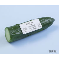 いわさき 栄養教育基本フードモデル57 IGF-001 1式 62-1626-73（直送品）