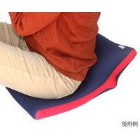 ヘルメット潜水 クロッツ やわらか湯たんぽ 座布団型 穴有り(立ち上がり付) ネイビー×レッド HY-604 1個 62-9827-88（直送品）