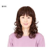 HP フルウィッグ RLF-12-TNB 1個 62-9237-85（直送品）