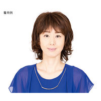 HP フルウィッグ RLF-14-TNK 1個 62-9237-96（直送品）