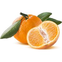 フレーバーライフ社 FL精油 マンダリン 100mL 148（直送品）