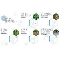 フレーバーライフ社 BREATHE(ブリーズ) マスクスプレー 29070 1セット(30mL×3本入)